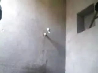 एक आदमी मुर्गा के लिए रिंग न्यू सेक्सी मूवी पिक्चर कुश्ती में नग्न BBW!