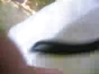 मुर्गा खेलने सेक्स फिल्म हिंदी मूवी के लिए ब्लैकमेलिंग पिताजी