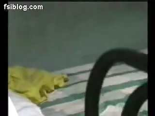 सिंडी क्रॉफोर्ड समलैंगिक सेक्सी मूवी इंग्लिश यौन संबंध में संलग्न है