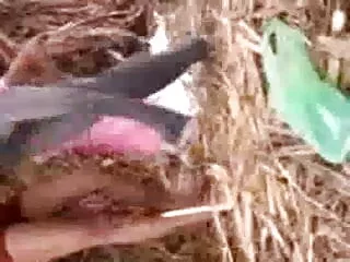 तियान टेलर - हॉट बस्ट बेब फुल सेक्स हिंदी मूवी