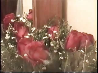 हुकर को सेक्सी मूवी साउथ रोकें