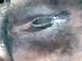 मालकिन वॉन की हिंदी फिल्म मूवी सेक्सी पूजा करें