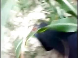 26 खुले चौड़े पुसी का संग्रह (2009) सेक्सी सनी लियोन मूवी