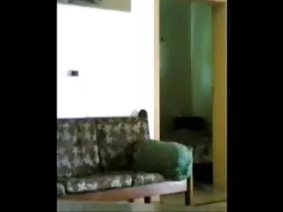 भावुक किशोर सेक्सी इंग्लिश सेक्सी मूवी कमबख्त