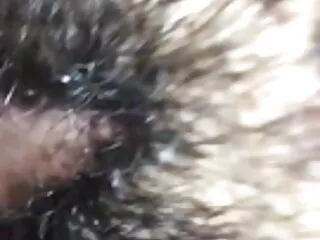 परिपक्व मोमबत्ती मूवी सेक्सी इंग्लिश फिल्म